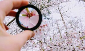 Focus your mind