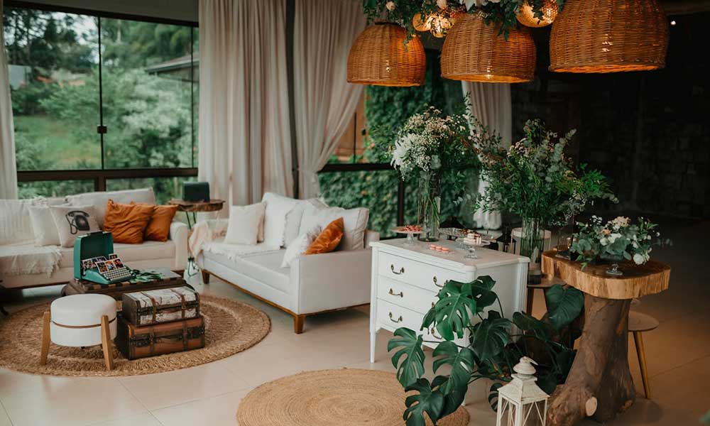 Indoor plants in house